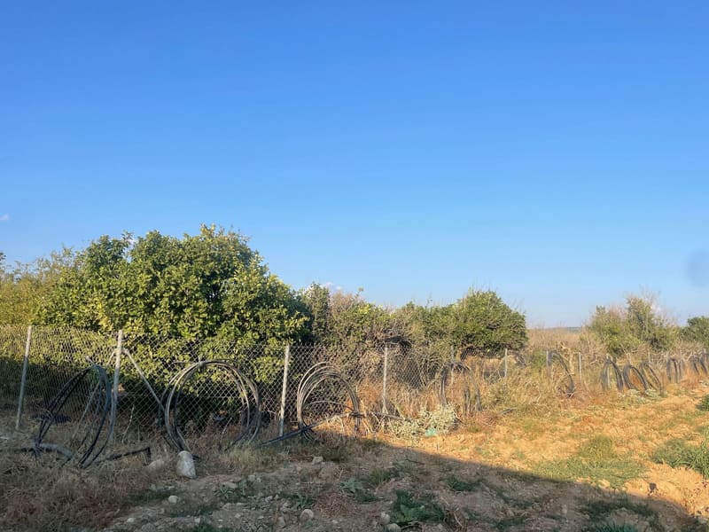 Περιφραγμένο αγροτεμάχιο με αυλόπορτα