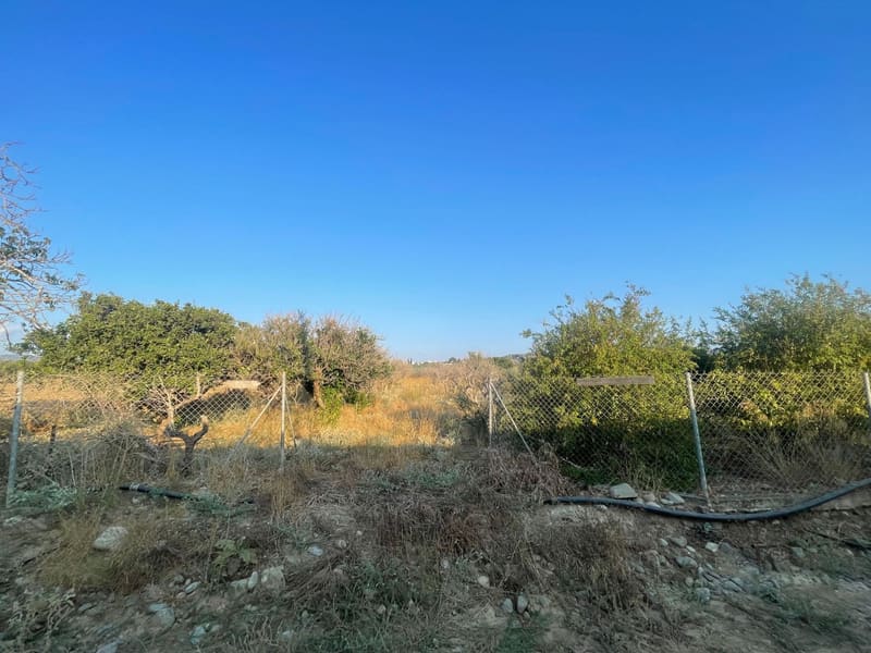 Το χωράφι με περίφραξη και δέντρα