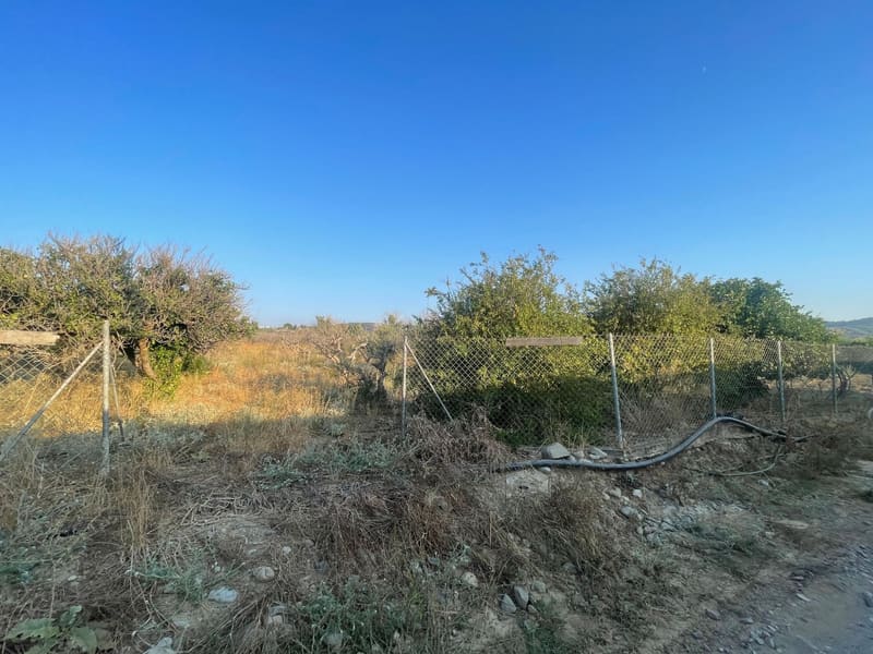 Η άκρη του αγροτεμαχίου με την περίφραξη