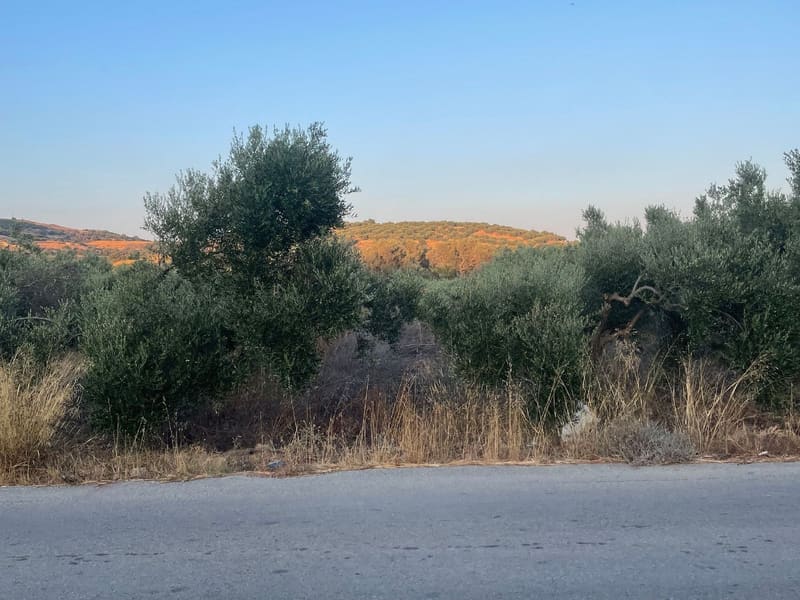 Επίπεδο αγροτεμάχιο με πρόσοψη σε δρόμο