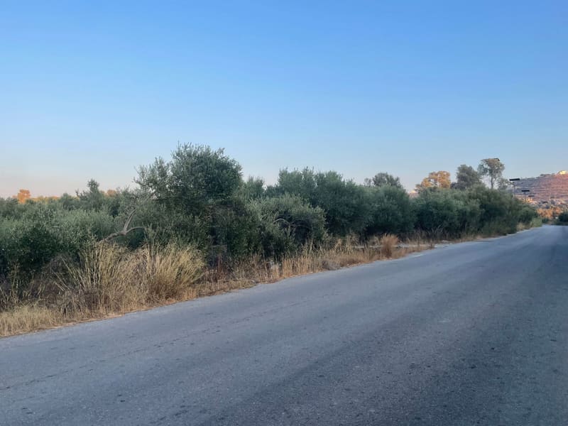 Ο δρόμος μπροστά από το αγροτεμάχιο
