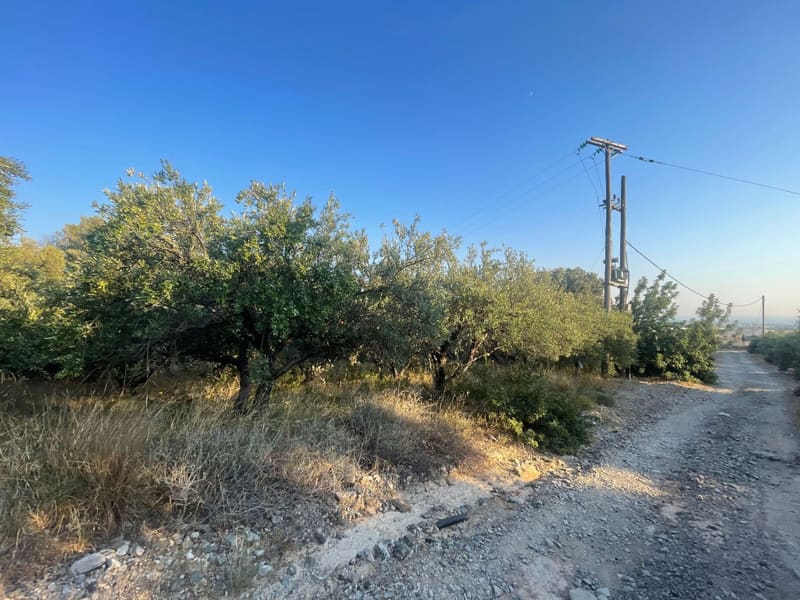 Το αγροτεμάχιο σε πλαγιά